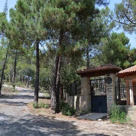 La Flor De La Vida Adults Only Casa rural Valbona (Teruel)