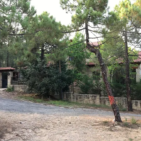 Casa rural La Flor De La Vida Adults Only Valbona (Teruel)